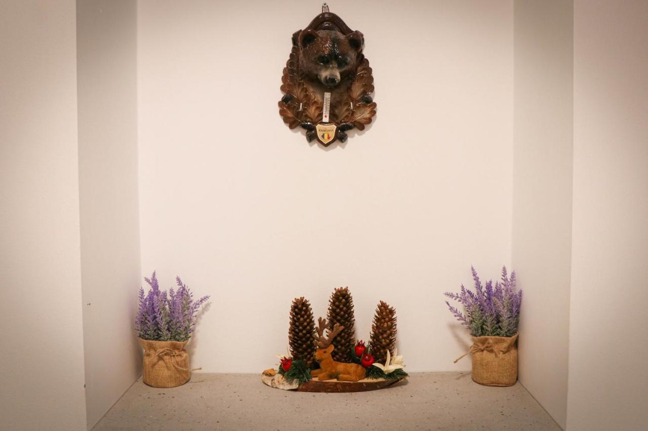 Casa De Oaspeti Kinga'S Crown バイレ・トゥシュナド エクステリア 写真